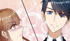 关于总裁的漫画,权力与情感的较量